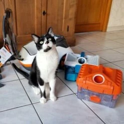 THOMAS Staubsauger -Katzenartikel 9c1c711bdc998f487ed8c24bc96dc66adbb9a8a0 1406733 de DE c0788b12d8ca7e012c5c5d1a7cf9568fa3623544LvViH7