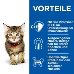 Hill's Science Plan Healthy Cuisine Kitten Ragout Multipack 24x80 G -Katzenartikel 9cc7542d56e101119b2981756afe9af54d6b4d74 1386411 de DE hills 5