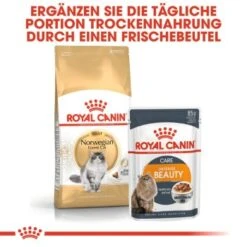 ROYAL CANIN Norwegian Forest Adult 10 Kg -Katzenartikel a02b9db4fbab44608d8f96a75fee25646abd3ee2 af41e3357e03e3d428ca315b755dc856d14ee9c9