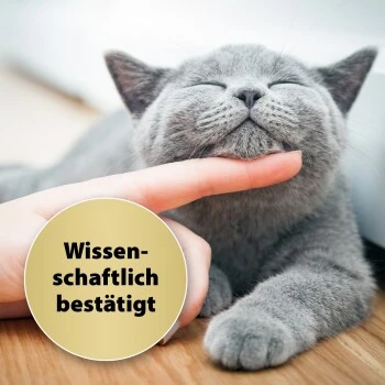 Felisept Home Comfort Beruhigungshalsband Für Katzen 7 Felisept Home Comfort Beruhigungshalsband Für Katzen – Bild 5