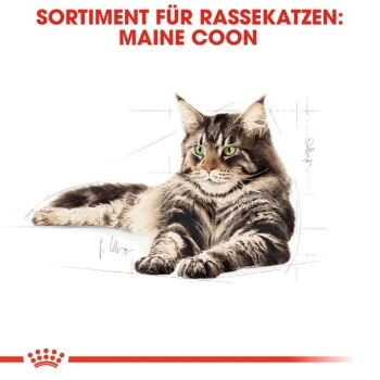 ROYAL CANIN Maine Coon 12x85g 6 ROYAL CANIN Maine Coon 12x85g – Bild 4