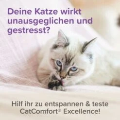 Beaphar CatComfort Excellence Nachfüll-Flakon Für Verdampfer 19 Beaphar CatComfort Excellence Nachfüll-Flakon Für Verdampfer -Katzenartikel a8613b584df98a596d32ec535fff51094d4ea86c 1416647 1 3