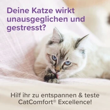Beaphar CatComfort Excellence Nachfüll-Flakon Für Verdampfer 11 Beaphar CatComfort Excellence Nachfüll-Flakon Für Verdampfer – Bild 9