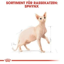 ROYAL CANIN Sphynx Adult 10 Kg -Katzenartikel a8cac64f1ab197f81295c694045c859b936cf469 3d2d3e46b1efb06d8dd5982093aa1fc1a81b6f69