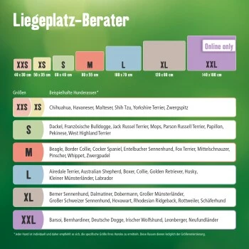 MORE Höhle Diamond 5 MORE Höhle Diamond – Bild 3