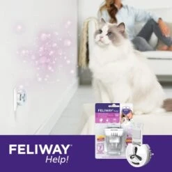 Feliway Help! 7 Tage Start-Set Zur Vorbeugung Von Stress -Katzenartikel af221c57f6ccc9e6f3f372e52503a2d7b9cf22d4 1380136 5
