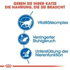 ROYAL CANIN Indoor 7+ 3,5 Kg -Katzenartikel b15b3a341edb82d3b0b2fbcdfa1085a485519ef2 8029a12bcb04e5bfd8b7a4d93e4a2c997c8d2856