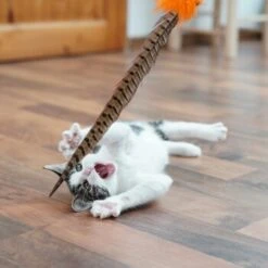 Schlitzohr Federwedel Birdy 3er Pack -Katzenartikel b2468018bd2b888c11ee64154d86732de60c7830 1659562 de DE 7d36675a42a956412d003b03e1f072b0ae0379063UsHBd