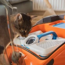 THOMAS AQUA+ Pet & Family -Katzenartikel b29d283b30c65b5964c108db9c904b2f1515a2bd 1408595 de DE b994e116c03c39866ce7571239028dd963780376lYoXei