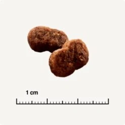 SELECT GOLD Hair+Skin Senior Geflügel & Lachs 2,5 Kg -Katzenartikel b42128ae83c41454d6be7d6047b7c0aaed5f051a 1001086011 de DE 6