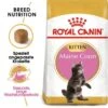 ROYAL CANIN Maine Coon Kitten 4 Kg -Katzenartikel b653bcf95fc9d0b8a3c8eee710843e455acba2f0 53328fcc7c4c7fc12c76a25aed7c7c1981767a10