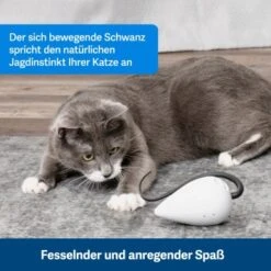 PetSafe Automatisches Katzenspielzeug RoloRat -Katzenartikel b65e953878b463eb5125c940634b84e8b7c79a3f 1351522 de DE 3daf7dbb27d01ce7d63f06677a32dd6cde28abb9X2tLJP