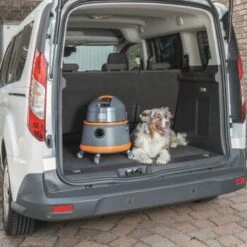 THOMAS Boxer -Katzenartikel b88f849533b8ebe1b5a7ad5744a96450027d0fae 1406732 de DE 0d542195b78af5d42f192c44669d7c2bbf8e5208f0NCyT