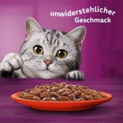 Whiskas Mega Pack 1+ Klassische Auswahl In Sauce 40 X 85g -Katzenartikel b8bf2de8eb7738000e5afc2cec07342be5657174 1410718 de DE Whiskas 6