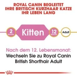 ROYAL CANIN British Shorthair Kitten 2 Kg -Katzenartikel b9dcf6abb7a4919bf6fc18b953f6e6aa3597ecf5 b5fbd35505db68c05c613e1187818406628392a1
