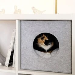 Lionto Katzenhöhle Aus Filz + Kissen - Regalhöhle Hellgrau 11 Lionto Katzenhöhle Aus Filz + Kissen - Regalhöhle Hellgrau -Katzenartikel ba38cb426515f287554cca1376691e8fc1f2c06c 1657087 de DE 1787a06f3e708c0b40c07cda94f11d1c11828f21AhrPBZ