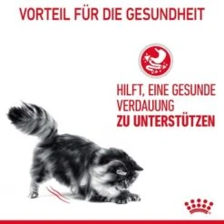 ROYAL CANIN Digest Sensitive 12 X 85 G 16 ROYAL CANIN Digest Sensitive 12 X 85 G -Katzenartikel ba8f0887f733c8e53f9aa087d9158d7e9bcea30d 1100873 3