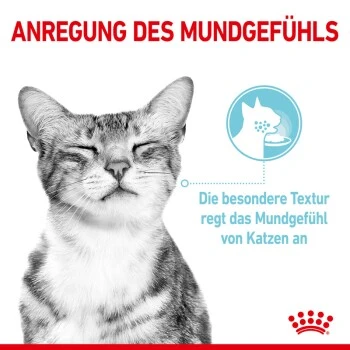 ROYAL CANIN SENSORY Smell Taste Feel Multipack In Soße 12x85g 8 ROYAL CANIN SENSORY Smell Taste Feel Multipack In Soße 12x85g – Bild 6
