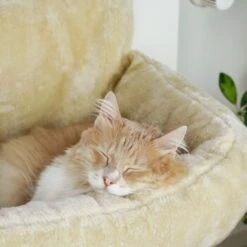 Schlitzohr Heizungsliege Lucky Beige -Katzenartikel bdc02033928d033279e49ebefe91371e629dfd2f 1484673 de DE 4daf09016934a9074c92f48c173e840fa6385a4agwWEjb