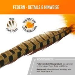 Schlitzohr Federwedel Birdy 3er Pack -Katzenartikel bdc9ecaec43f47b36019280ae7e788c534174412 1659562 de DE 36b11fb8804ed0ab3e1a5483fcd8be597379266daxQShR