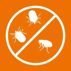 Ardap Spot-On Für Katzen S 14 Ardap Spot-On Für Katzen S -Katzenartikel c00afedd838d70c54a5287206443466647f5dedf 1150895 de DE 216402434a597a152b5e3e2d02d3c041c3a61282I3NWL5