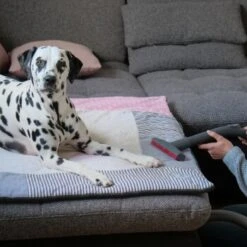 THOMAS AQUA+ Pet & Family -Katzenartikel c3381bf4158feb85ebfd3f3d8bb59ef108b95290 1408595 de DE f1089c65a30ba894d2939997310129f1b316d2cdCtnGOW