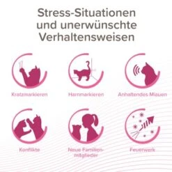 Beaphar CatComfort Excellence Starter-Kit 48ml -Katzenartikel c5acac2221a0b2cf3e7346d9f61b6606812afde8 1416646 1 1