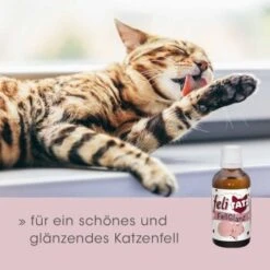 FeliTATZ FellGlanz -Katzenartikel c632389ff5554b3f77a4c07b5dcd4d35f428a2c1 1666313 de DE aef5012fb4dd575d53ef4492b6faf7c4f11752ddfl85CX