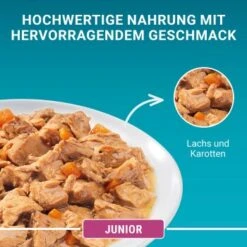 Purina ONE Junior Kittenfutter Nass Zarte Stückchen In Sauce Lachs 48x85g 18 Purina ONE Junior Kittenfutter Nass Zarte Stückchen In Sauce Lachs 48x85g -Katzenartikel c703fcbb41b88ca8248baa66dbcb906c34ea7b12 1356454 de DE purina one 5