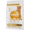 IAMS Vitality Adult Hairball Huhn 10 Kg 1 IAMS Vitality Adult Hairball Huhn 10 Kg -Katzenartikel c93a50adcd82a8fd4a24f79466884cab2c8301d1 38df729b88aaafd035b3e61d18fd474ce576a5b9