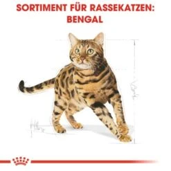 ROYAL CANIN Bengal Adult 10 Kg 14 ROYAL CANIN Bengal Adult 10 Kg -Katzenartikel cb3c9b745b0cf6e86ca2308b544461de43105143 e7122eb5a9e8a316aad32423edb5418ecd6d24cd