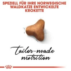 ROYAL CANIN Norwegian Forest Adult 10 Kg -Katzenartikel d10cae32374c526515d65c11aa090e1bcea6d2f3 095e16b98db23d26bf2708e66433860bed6f0d70