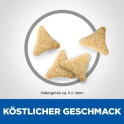 Hill's Science Plan Hairball Indoor Adult Mit Huhn 3 Kg 15 Hill's Science Plan Hairball Indoor Adult Mit Huhn 3 Kg -Katzenartikel d22915eed5f581b2aadd8692cf33e6afbd622437 52742024011 6