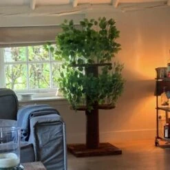 RHR Quality Kratzbaum Design Natural Leaves -Katzenartikel d32ab4bff9ec3b85ae4c7c42fe25c58d6e1cdac6 1651772 de DE ce58d8382b7df57150df15145bf1bd288f24ba1aaicjgL