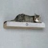Canadian Cat Company Kratzbrett Cloud Für Die Wand -Katzenartikel d4713e4a1d3ea7457f314f3929d9aed114d3b472 1360985 de DE f0a83a962d53a996cb7c02a9a448ff5f33ab45d8q6OyB6