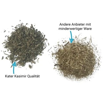 Kater Kasimir Premium Katzenminze, 60g Vorratspack (getrocknet, Geschnitten Und Gesiebt) 5 Kater Kasimir Premium Katzenminze, 60g Vorratspack (getrocknet, Geschnitten Und Gesiebt) – Bild 3