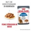 ROYAL CANIN Light Weight Care 12x85g In Soße 2 ROYAL CANIN Light Weight Care 12x85g In Soße -Katzenartikel d5e62073b49a9d92e5d4409916fcbd4a6d9efc8a 1099138 2