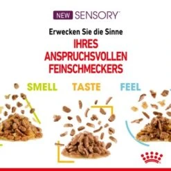 ROYAL CANIN SENSORY Feel In Gelee Für Wählerische Katzen 12x85g 16 ROYAL CANIN SENSORY Feel In Gelee Für Wählerische Katzen 12x85g -Katzenartikel d6502c586802b23949b15c90f20d4546a6f09a7f e745208c5aa2a8b9719bb9a473f581425099ccc6