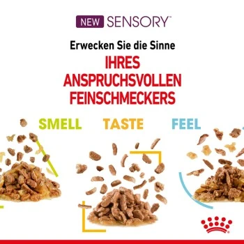 ROYAL CANIN SENSORY Feel In Gelee Für Wählerische Katzen 12x85g 9 ROYAL CANIN SENSORY Feel In Gelee Für Wählerische Katzen 12x85g – Bild 7