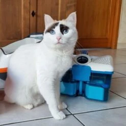 THOMAS Staubsauger -Katzenartikel d74e3cdb93ec3dcec33da8a346880210d1823b1e 1406733 de DE 817045830cc32e31da1f6ec74c9727ecafc6b086XIONN0