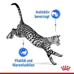 ROYAL CANIN Indoor 7+ Sterilised 12x85g In Gelee -Katzenartikel dca22440cb7827635f09500dad8e99b040f2182a c2f7cdfba5615f6a0f166d3fda177842edcfb7e7