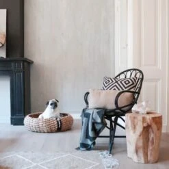 District 70 COCOON Natural M -Katzenartikel dcc78b603e8b104d92f7a1f35d76eed51c8d91e7 cdd1947c035419f5ce8abf5f0e6c08dec6b53512