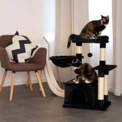 Lionto Kratzbaum Höhe 85 Cm Schwarz -Katzenartikel dd0e7cf28bc0aec8de2100657cc9a578d42c02e9 1657004 de DE a873592f3b94042f2787c5ac5fe2ced7ffef53d38BzneZ