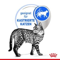 ROYAL CANIN Indoor Sterilised 12x85g In Gelee 10 ROYAL CANIN Indoor Sterilised 12x85g In Gelee -Katzenartikel e0f30f9a28c4a2b10156c12b92347b4c5a9b1e23 8c952aa18fe09440ca4c62569fbc775fe9fd6239