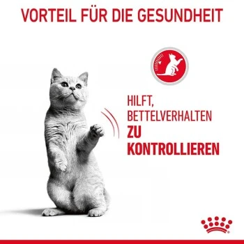 ROYAL CANIN Appetite Control Care 10 Kg 7 ROYAL CANIN Appetite Control Care 10 Kg – Bild 5