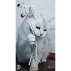 Kater Kasimir Premium Katzenangel Mit 4 Handgemachten Anhängern Aus Naturmaterial -Katzenartikel e6fe48d27b82d48675d665ee2a143e3c11de2fd9 1408150 de DE b29a5f7f2530ce6388e16e2600369d70b2ec0350kYn6B8