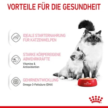 ROYAL CANIN Mother & Babycat Mousse 12x195 G 6 ROYAL CANIN Mother & Babycat Mousse 12x195 G – Bild 4
