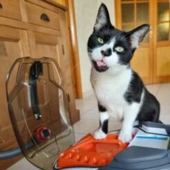 THOMAS Staubsauger -Katzenartikel e924a64d06d1776c60effa6ed643bd7a6c20fdca 1406733 de DE 08e20bea72feee79416abcd48fd6e6a61e2fc6eav4kQrJ