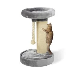 MORE Kratzbaum Bente -Katzenartikel e9b2f106fd5166a39ac6fc361f4a0c914a27a18c e3dce24ee9bad6c267aa9c1b35023714eb90889e