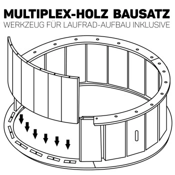 Canadian Cat Company Katzenlaufrad Aus Holz L Schwarz 11 Canadian Cat Company Katzenlaufrad Aus Holz L Schwarz – Bild 9